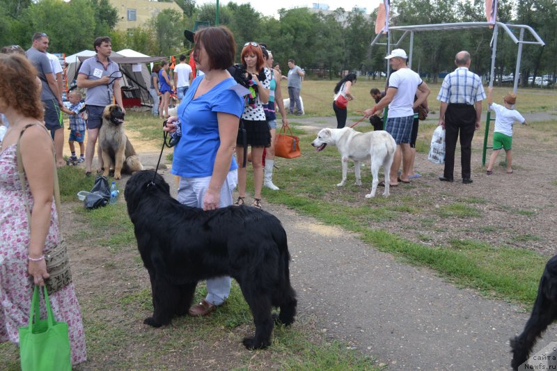 Фотография № 161370