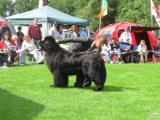 Фотография № 16138