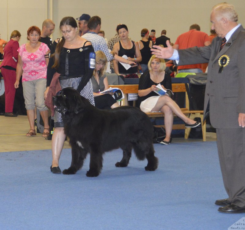 Фотография № 161393