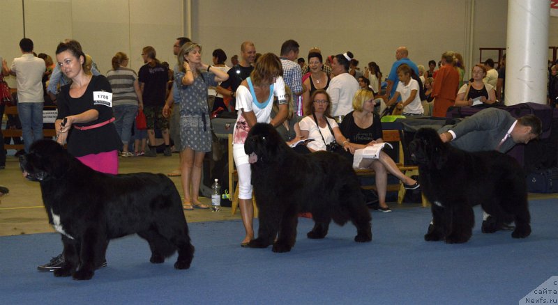 Фотография № 161396