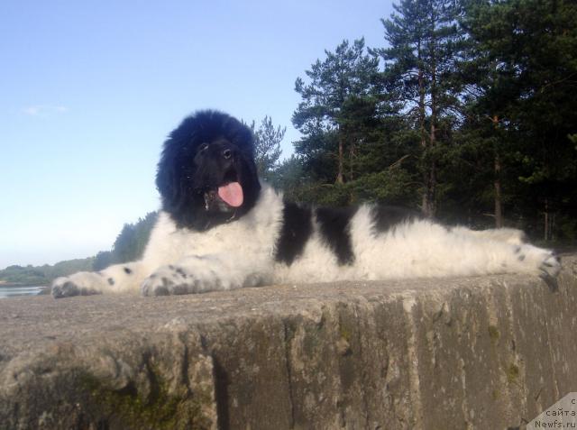 Фотография № 16140