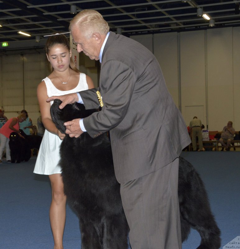 Фотография № 161400