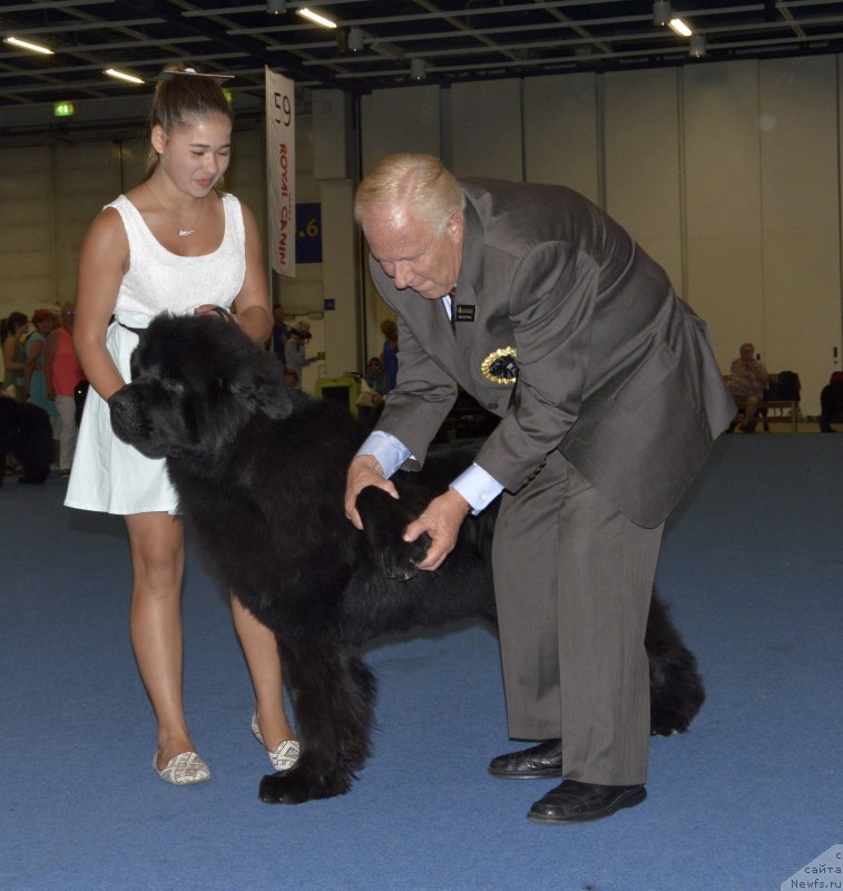 Фотография № 161402