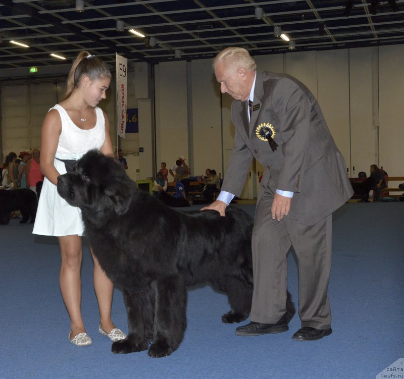 Фотография № 161403