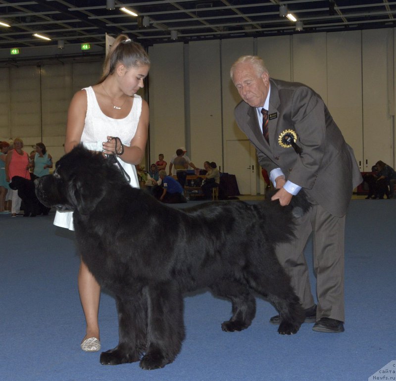 Фотография № 161404