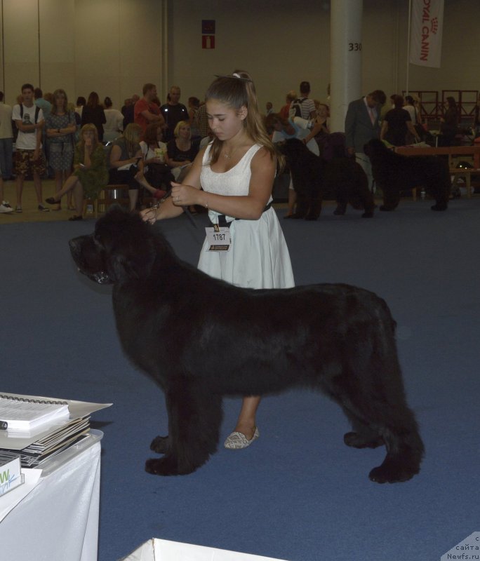 Фотография № 161405