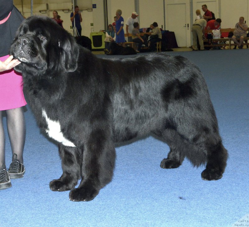 Фотография № 161409