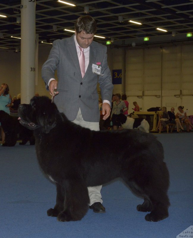 Фотография № 161411