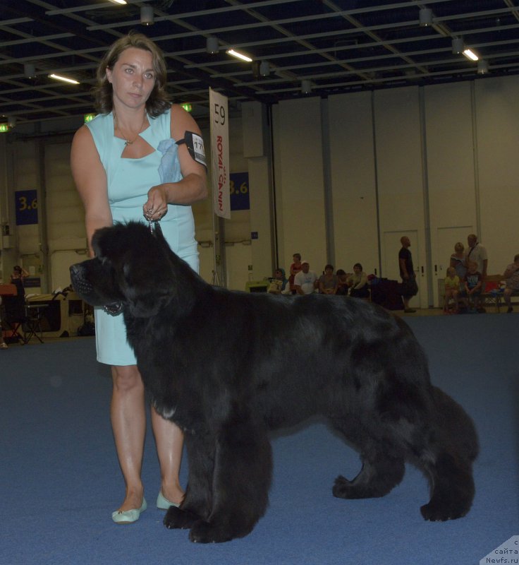 Фотография № 161415