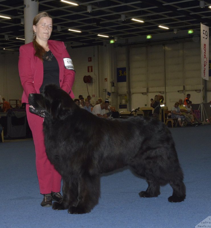 Фотография № 161417