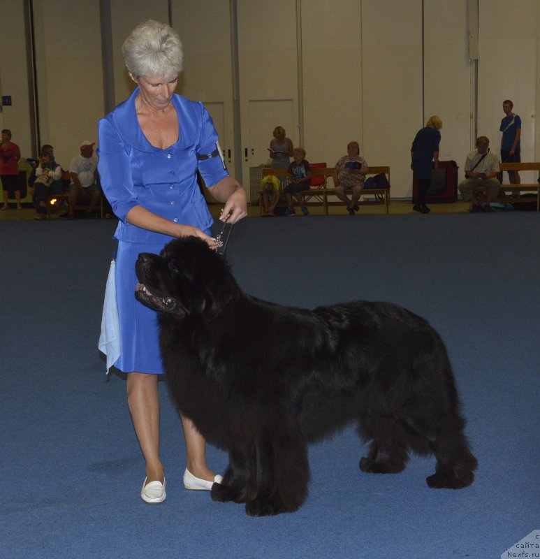 Фотография № 161418