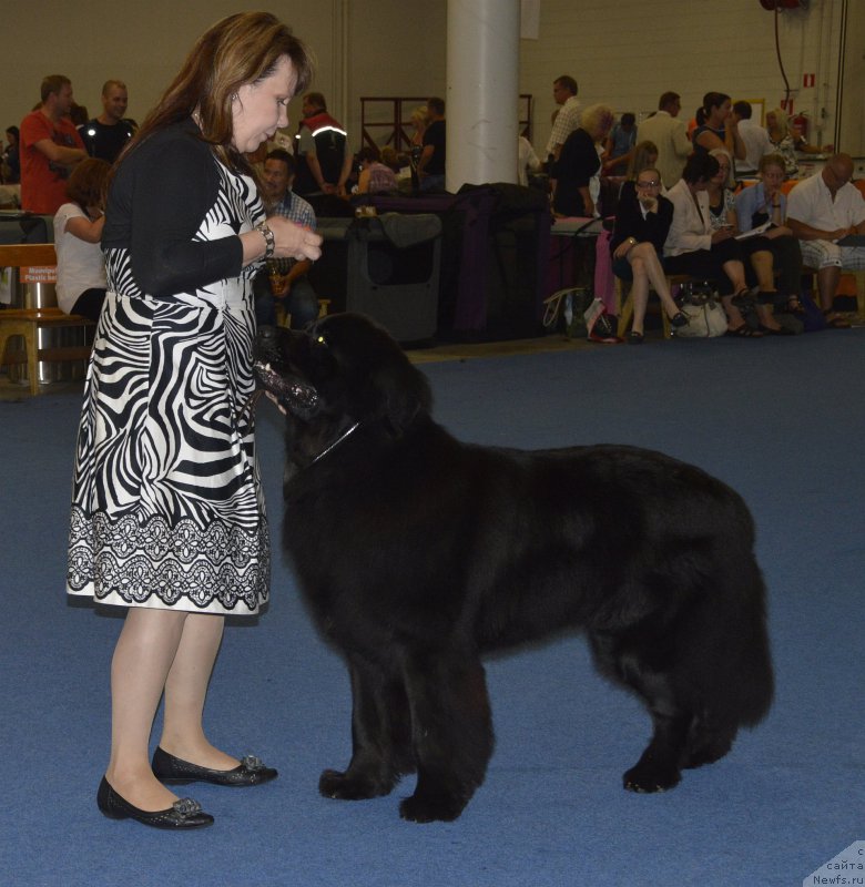 Фотография № 161420