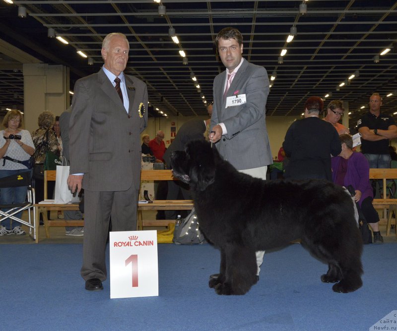 Фото: 1790 King Of Helluland Over The Top ERI AVK1