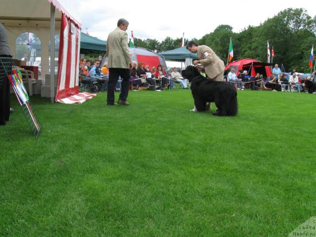 Фотография № 16143