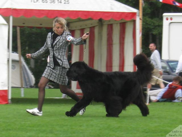 Фотография № 16145