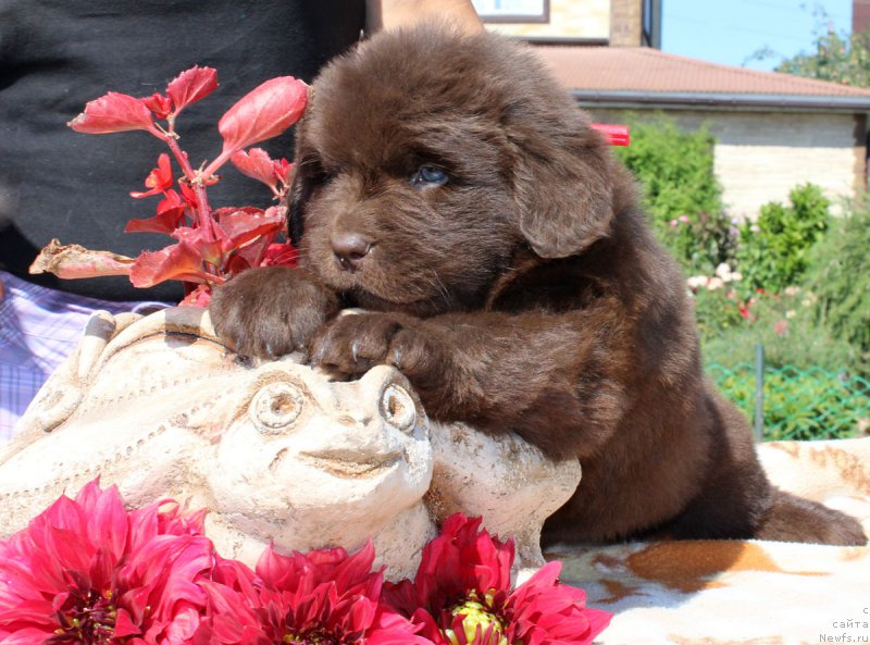 Фотография № 161469