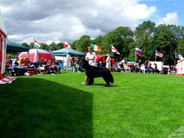 Фотография № 16148