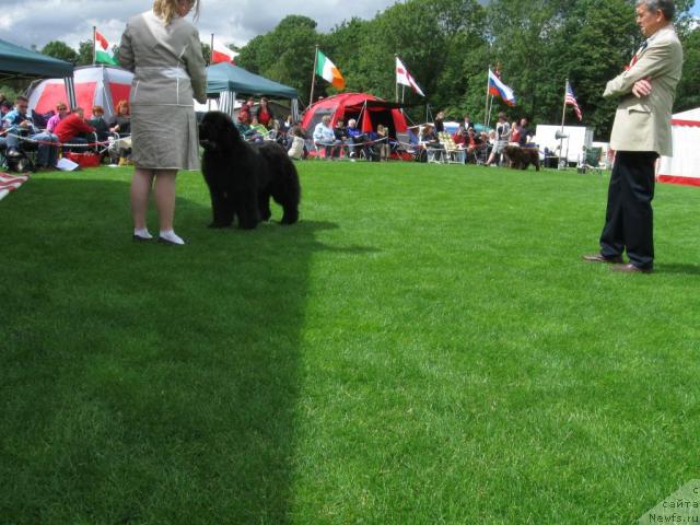 Фотография № 16149