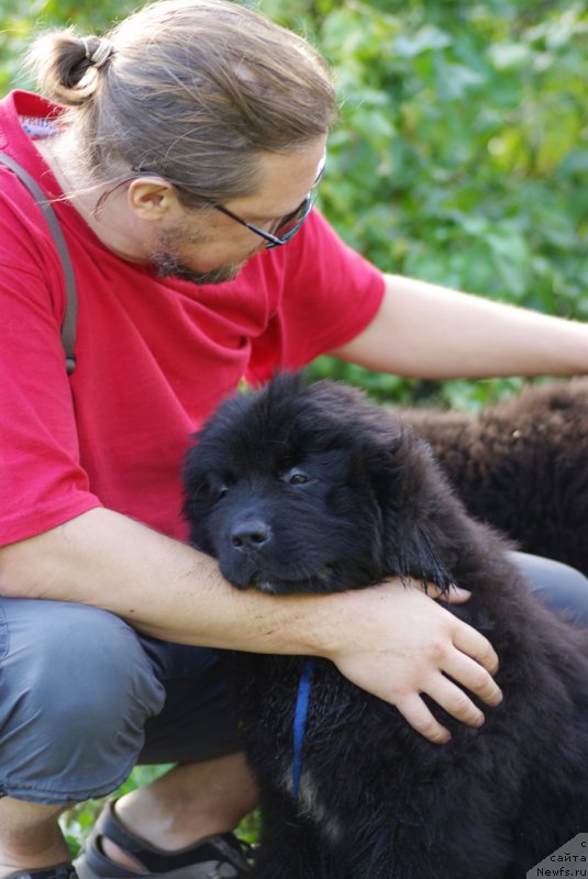 Фотография № 161525