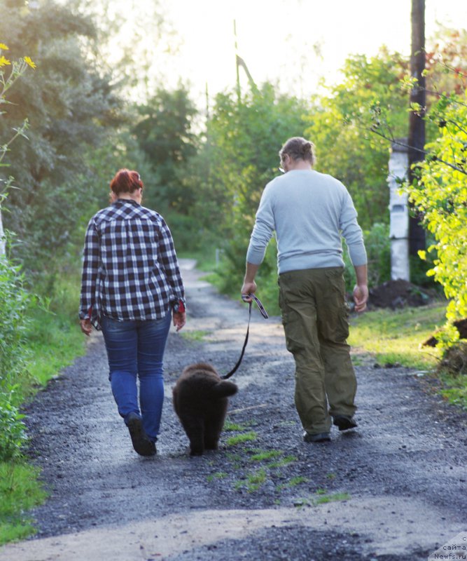 Фотография № 161526