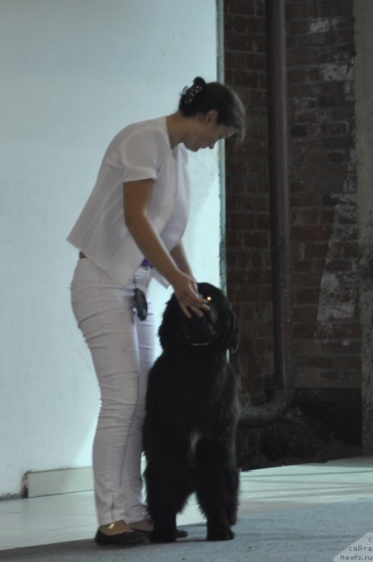 Фотография № 161529