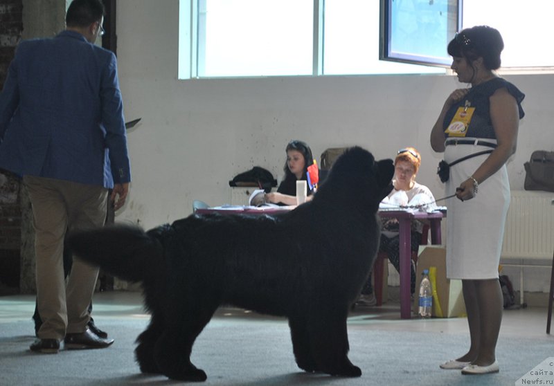 Фотография № 161531