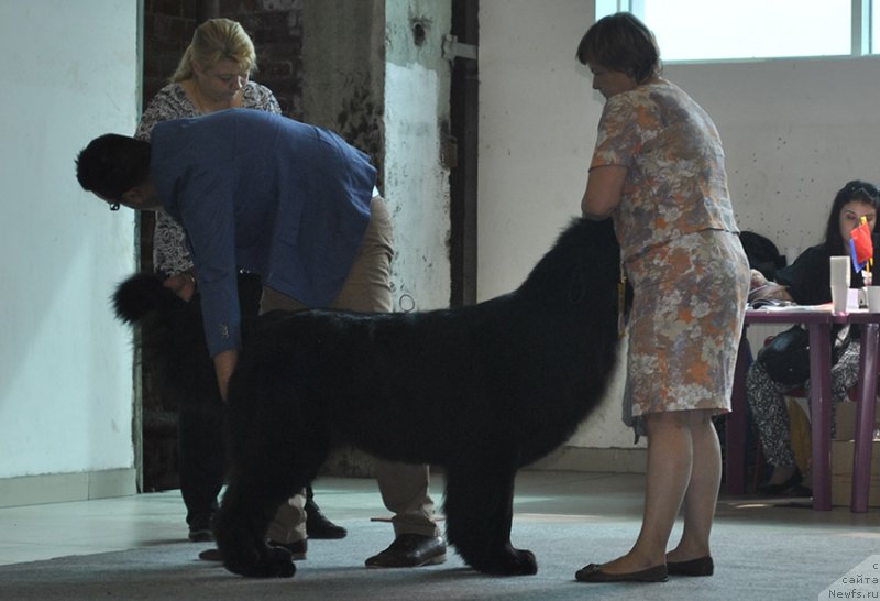 Фотография № 161532