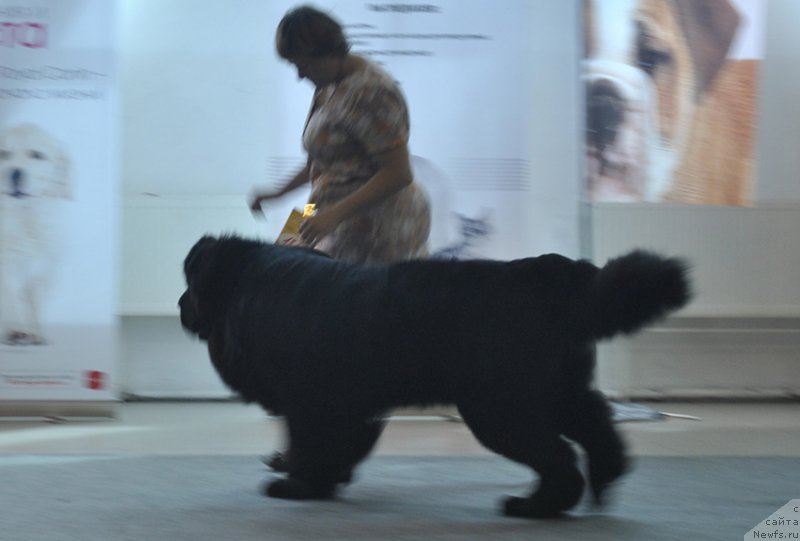 Фотография № 161533