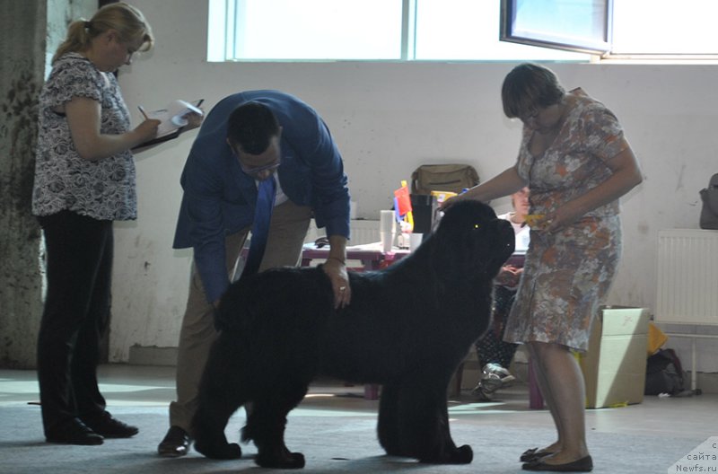 Фотография № 161534