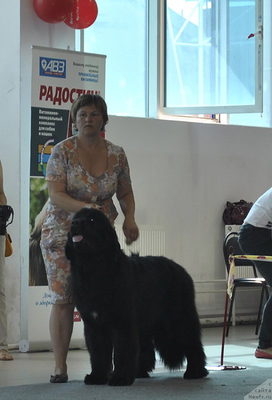 Фотография № 161546