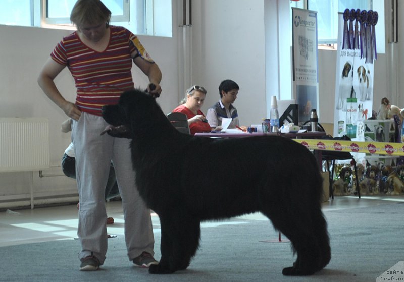 Фотография № 161547