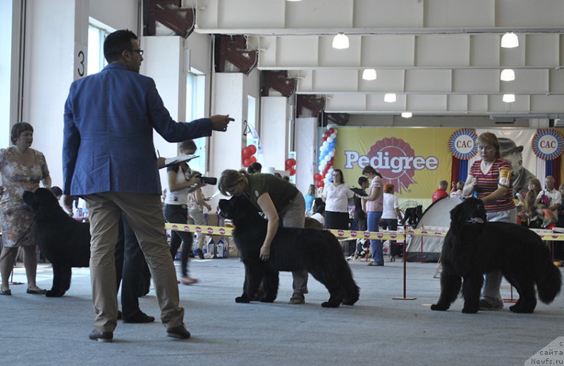 Фотография № 161550