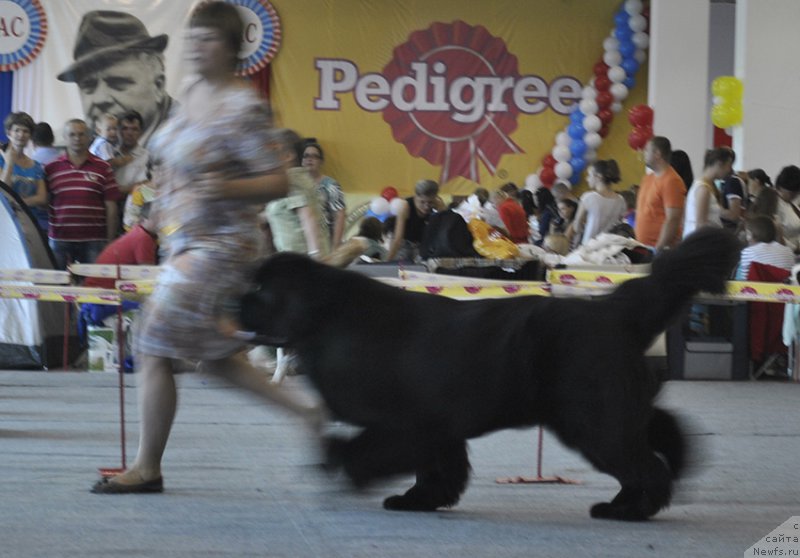 Фотография № 161551