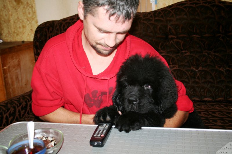 Фотография № 161569