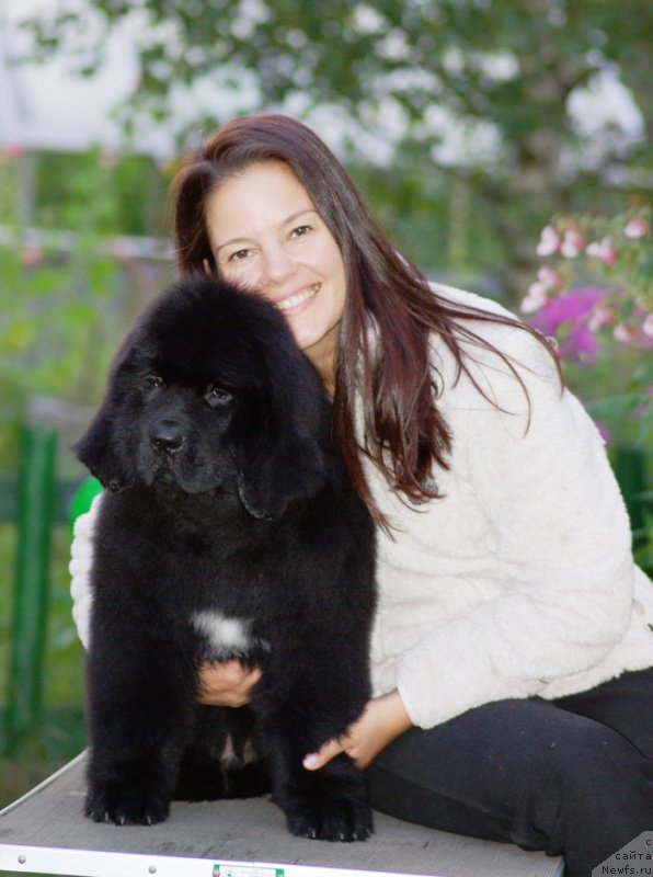 Фотография № 161586