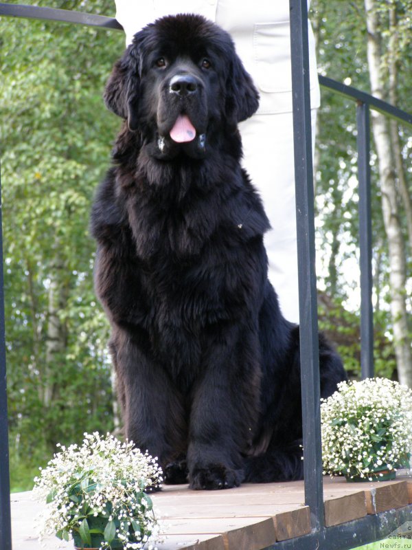 Фотография № 161614