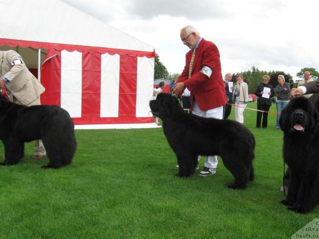 Фотография № 16163