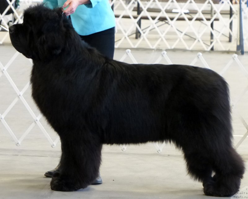 Фотография № 161635