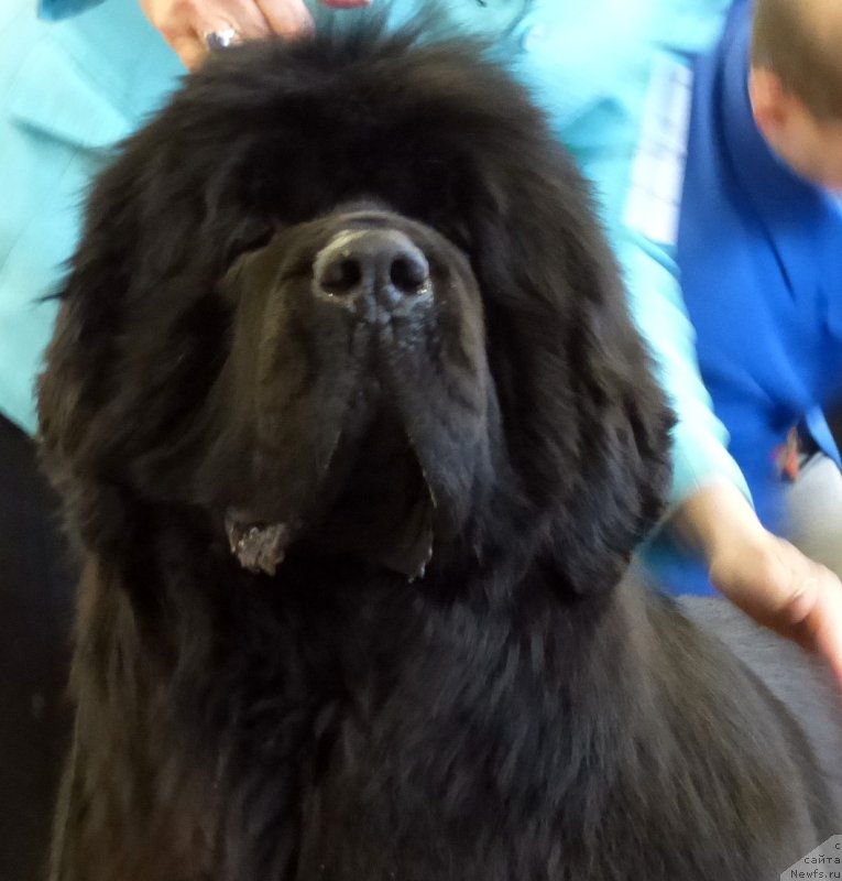 Фотография № 161636