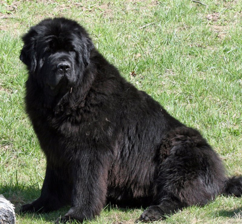 Фотография № 161637