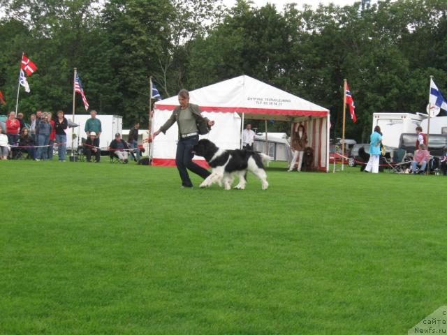 Фотография № 16165