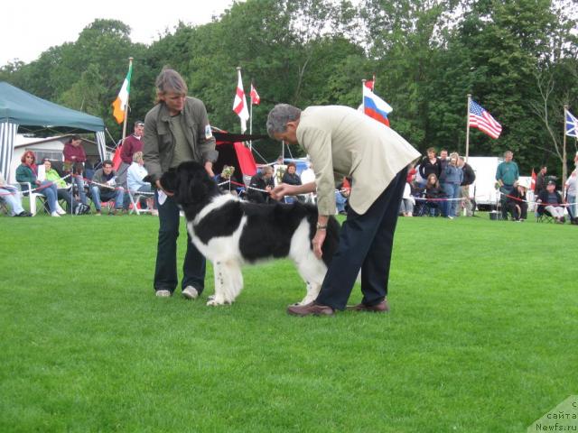 Фото: Moonshinelover's Jewel Of Sapphire