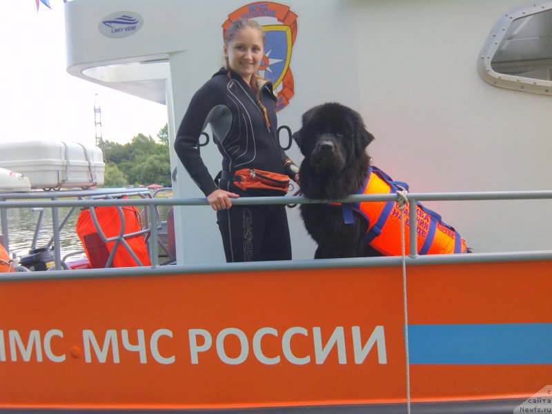 Фотография № 161661