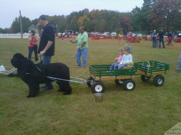 Фотография № 161674