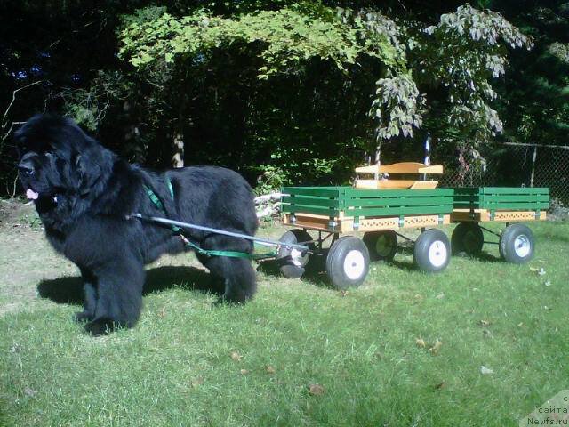 Фотография № 161675