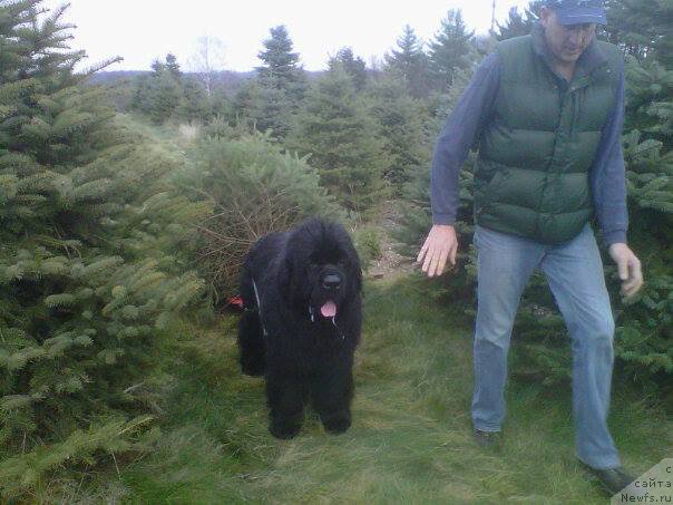 Фотография № 161676