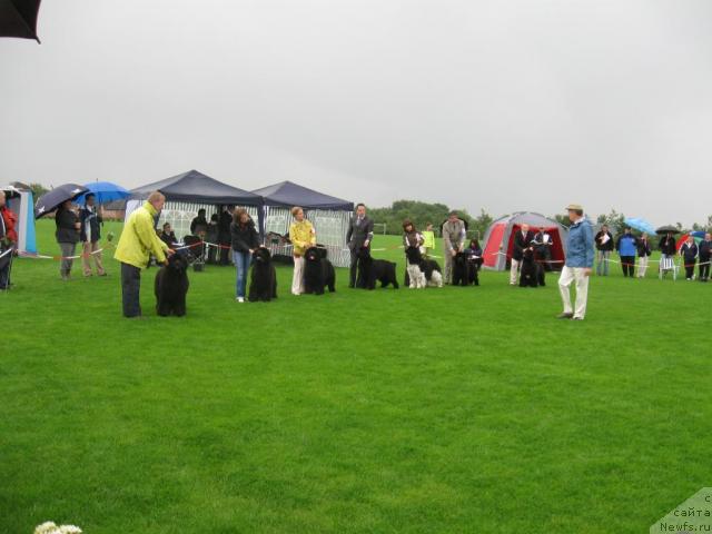 Фотография № 16172