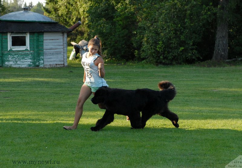 Фотография № 161736