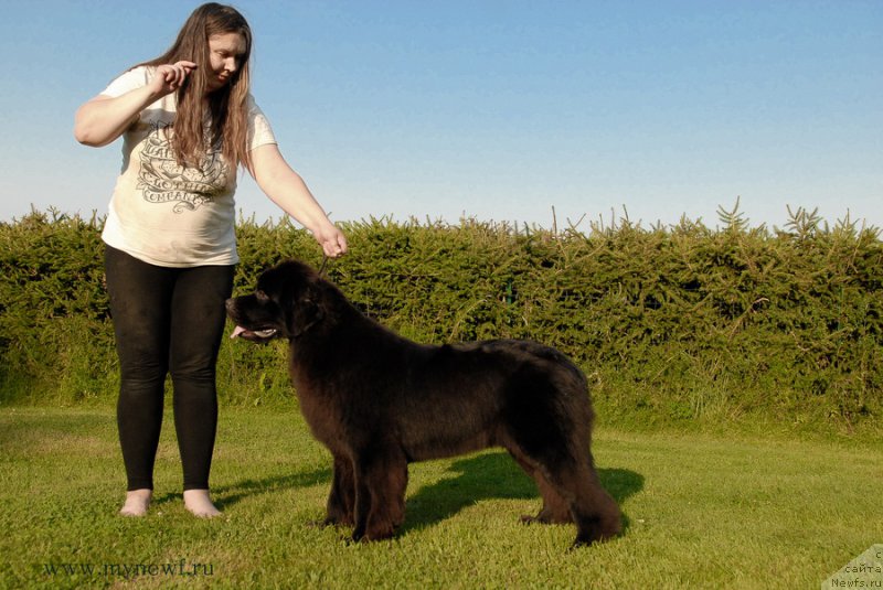 Фотография № 161737