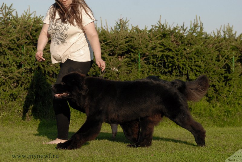 Фотография № 161738